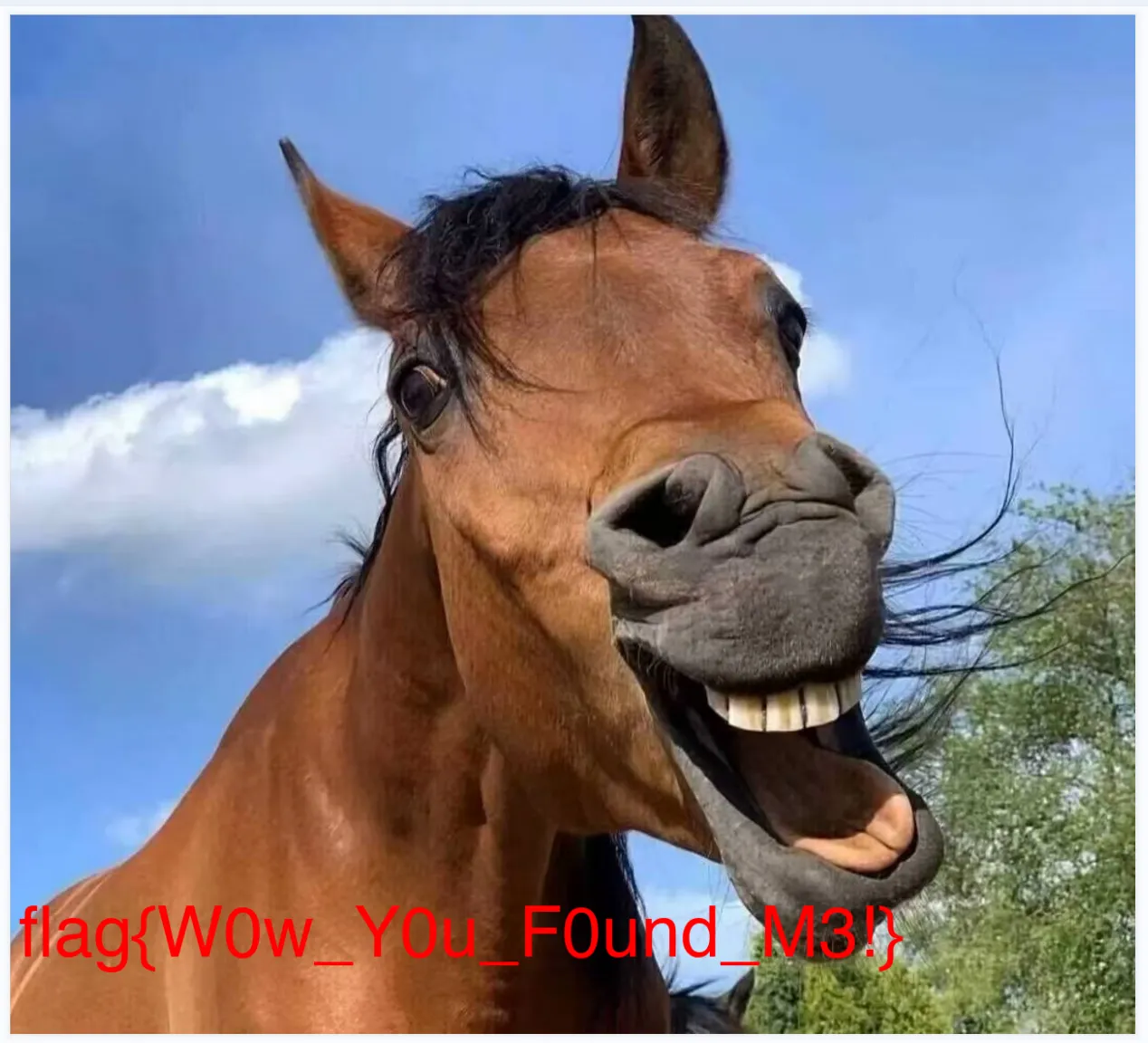 image8.png image8.png